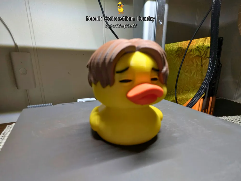 Noah Sebastian duck